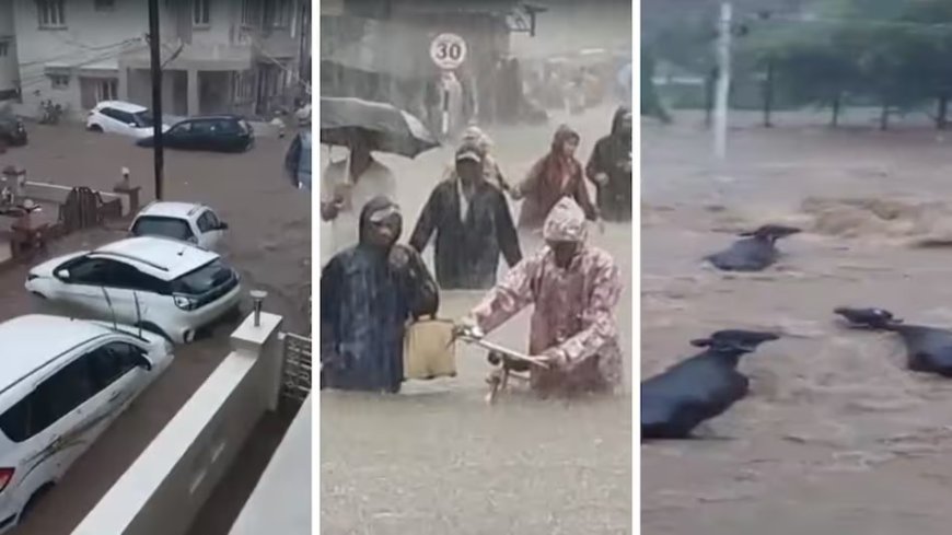 IMD Alert: बारिश ने बरपाया कहर, आफत में इंसान और जानवर, जमीन खिसकने से 25 लोगों की मौत