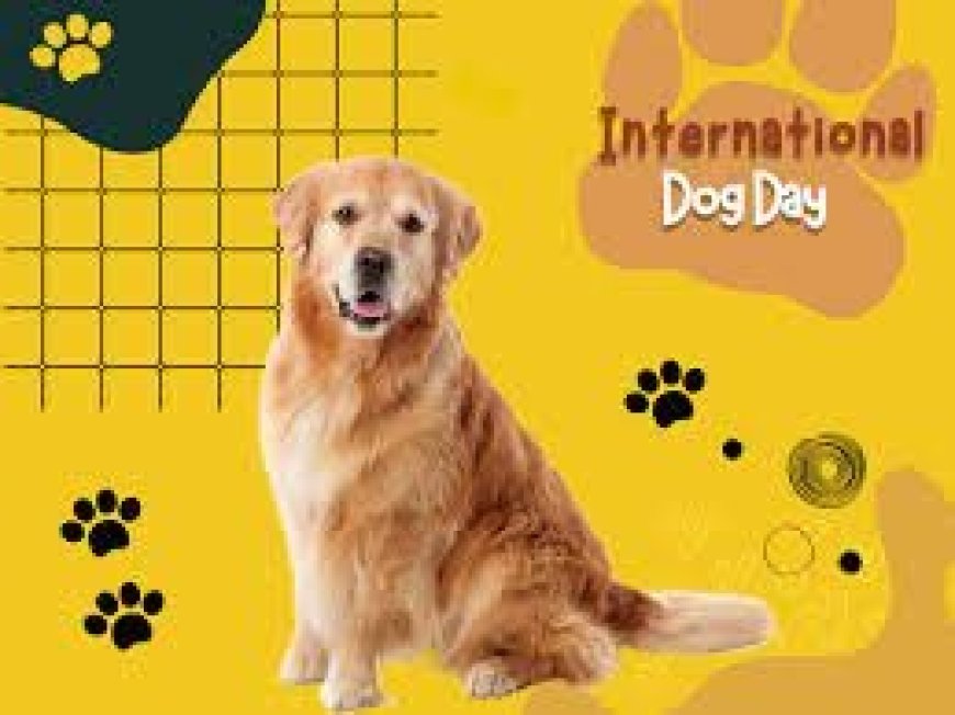 International Dog Day: हड्डी चूसने वाले कैसे बने पालतू जानवर, यहां जानें पूरा इतिहास