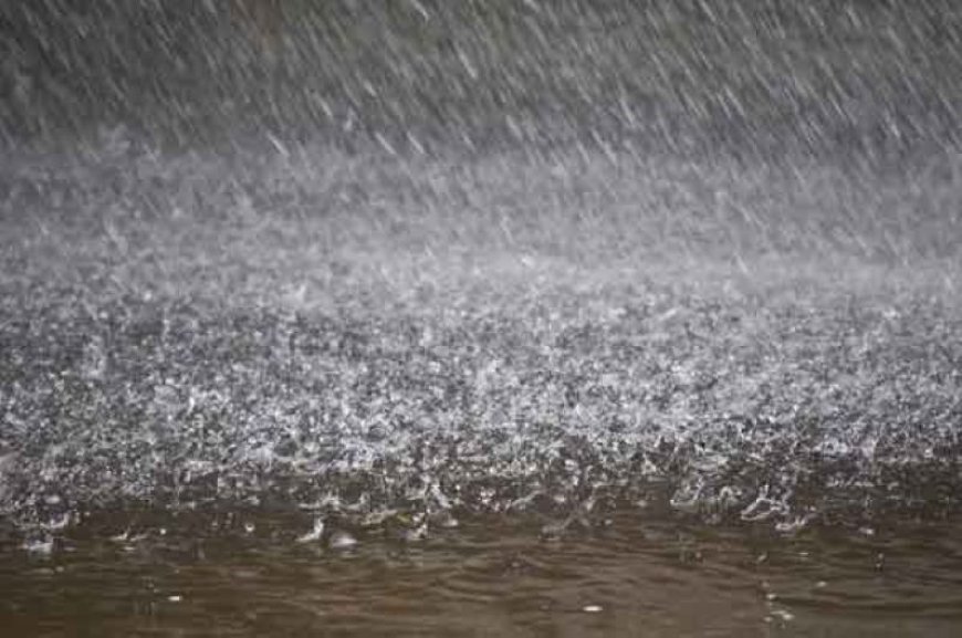 IMD Alert: दो सिस्टम एक्टीव, एमपी के इन 31 जिलों में होगी बारिश, मौसम विभाग ने जारी किया अलर्ट
