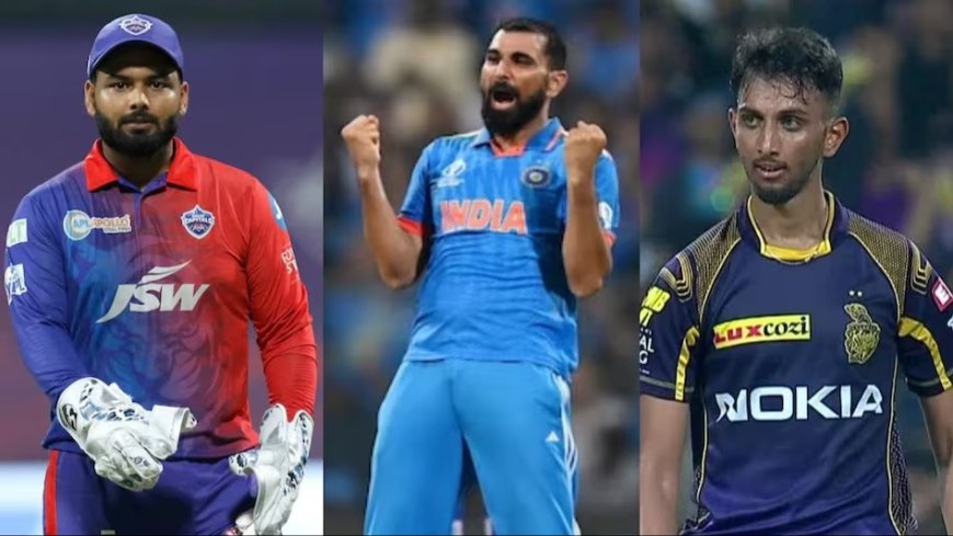 IPL में पंत का खेलना तय, BCCI ने शमी-प्रसिद्ध पर दिया अपडेट 