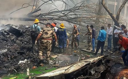 अहमदाबाद विमान हादसे की जांच के लिए बनाई हाई लेवल की कमेटी, जानिए कौन अधिकारी है शामिल