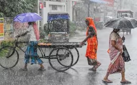 अगले 24 घंटे के भीतर इन राज्यों में होगी तेजी बारिश, मौसम विभाग ने जारी किया अलर्ट