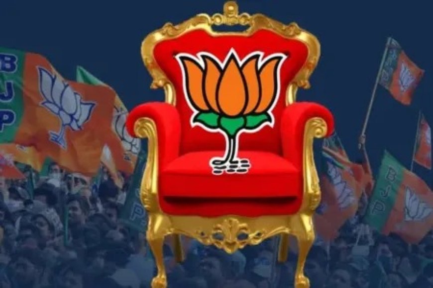 भाजपा इन तीन महिलाओं को बना सकती है राष्ट्रीय अध्यक्ष, जानिए उनका राजनीतिक करियर और पार्टी में मजबूती